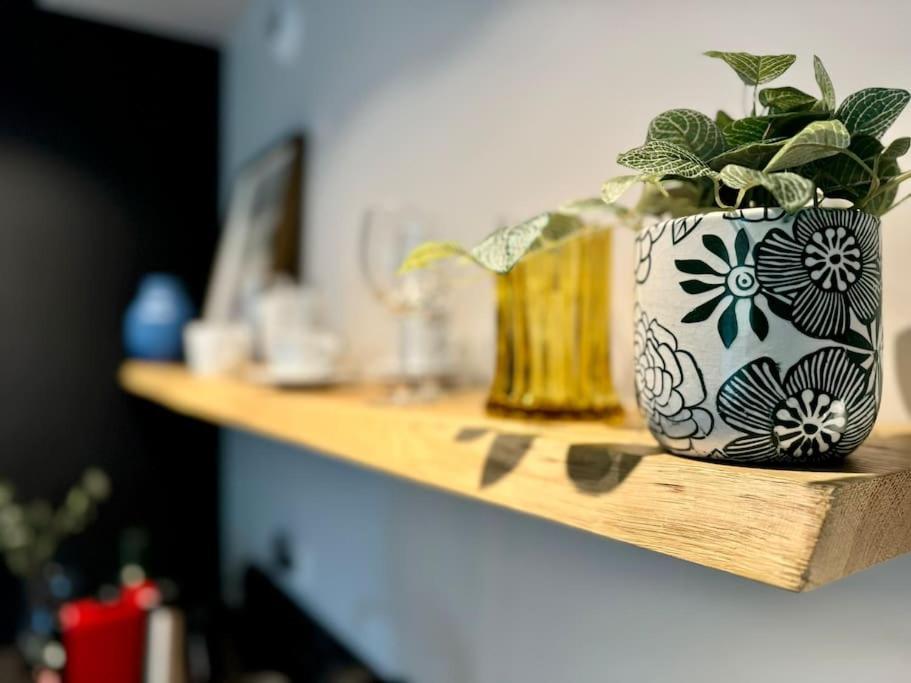 Art & Sunski Studio Z Garazem Podziemnym Krynica Zdroj Ngoại thất bức ảnh