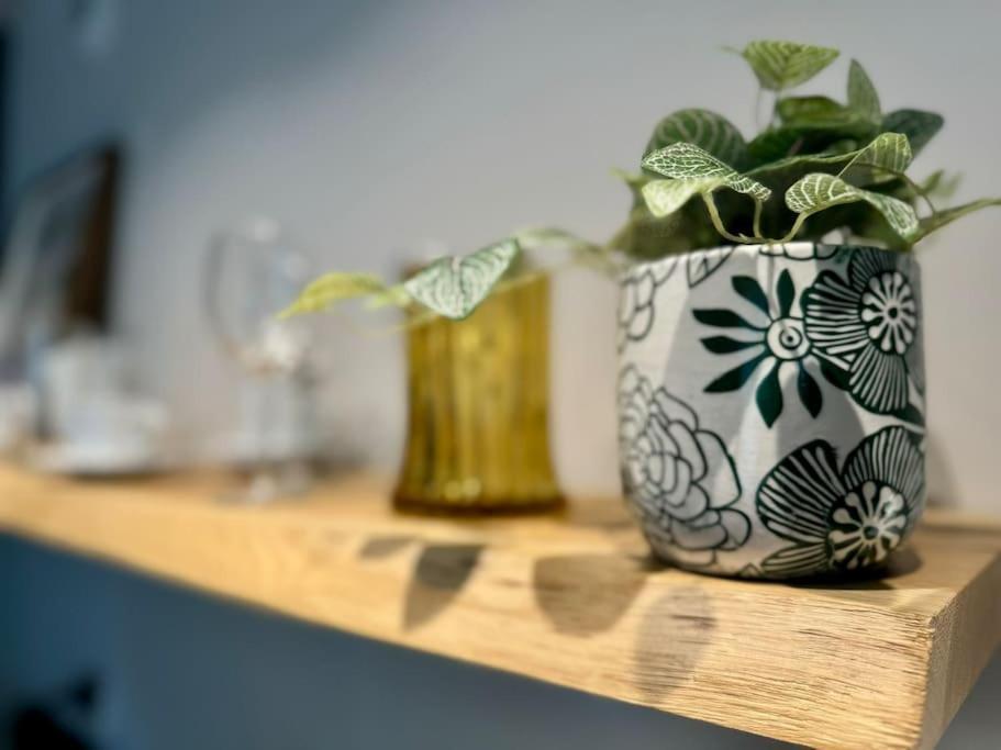 Art & Sunski Studio Z Garazem Podziemnym Krynica Zdroj Ngoại thất bức ảnh